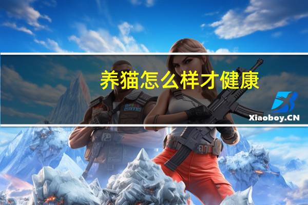 养猫怎么样才健康