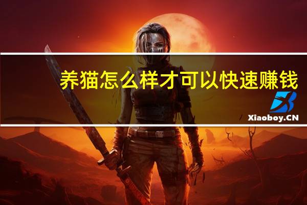 养猫怎么样才可以快速赚钱