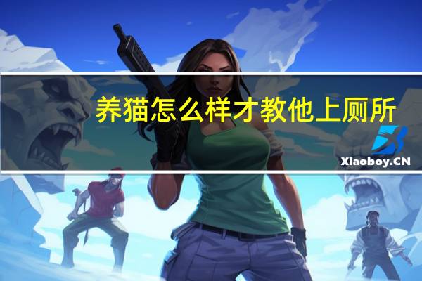 养猫怎么样才教他上厕所
