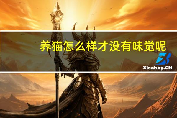 养猫怎么样才没有味觉呢