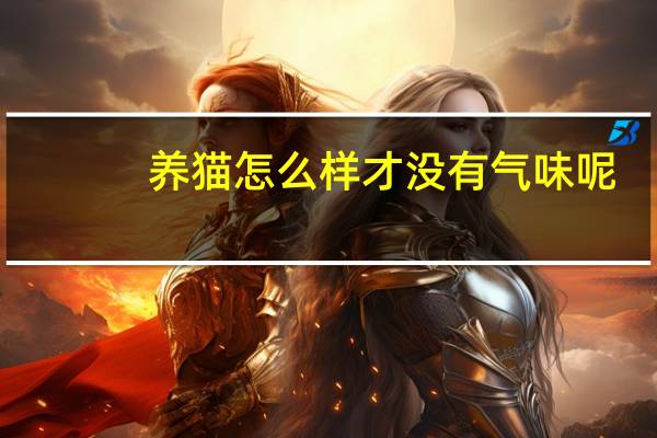 养猫怎么样才没有气味呢