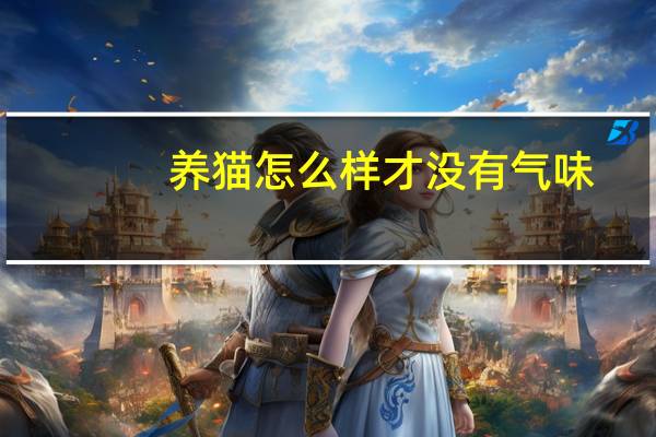 养猫怎么样才没有气味