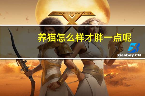 养猫怎么样才胖一点呢