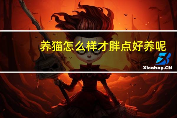 养猫怎么样才胖点好养呢