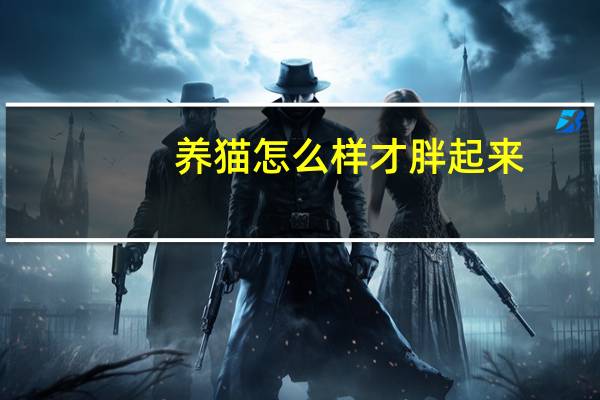 养猫怎么样才胖起来