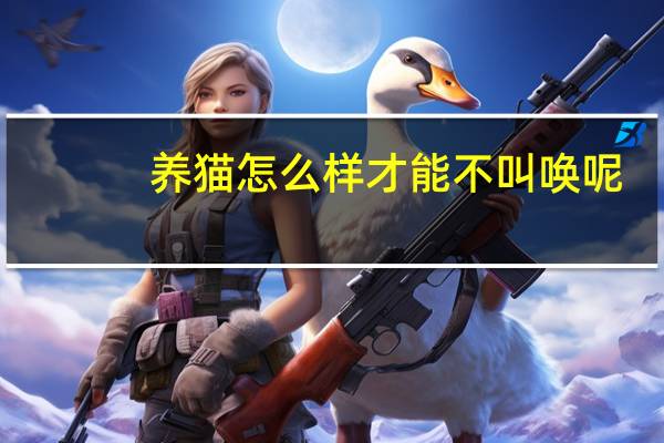 养猫怎么样才能不叫唤呢