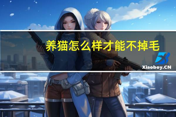 养猫怎么样才能不掉毛