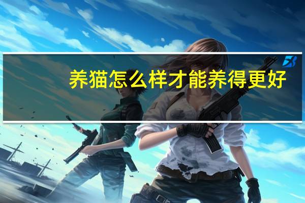 养猫怎么样才能养得更好