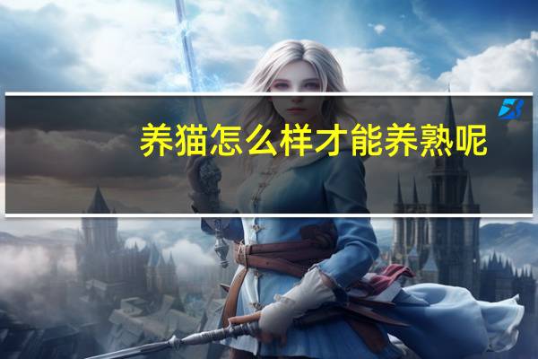 养猫怎么样才能养熟呢