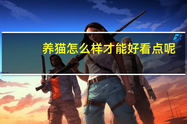 养猫怎么样才能好看点呢