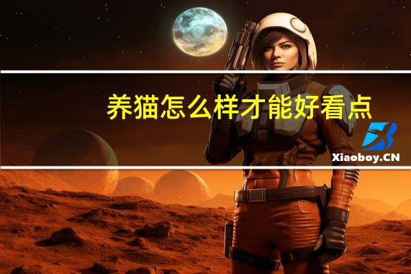 养猫怎么样才能好看点