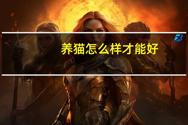 养猫怎么样才能好