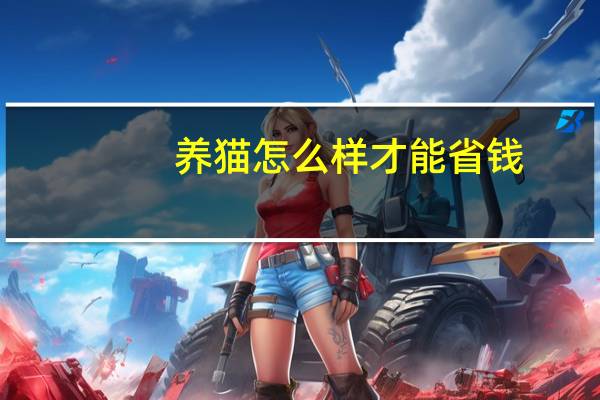 养猫怎么样才能省钱