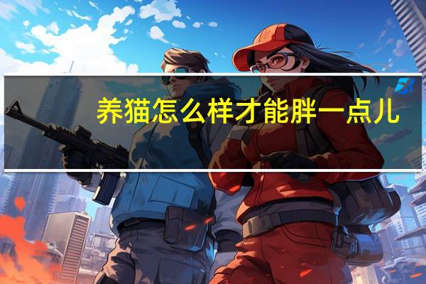 养猫怎么样才能胖一点儿