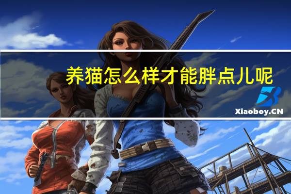 养猫怎么样才能胖点儿呢