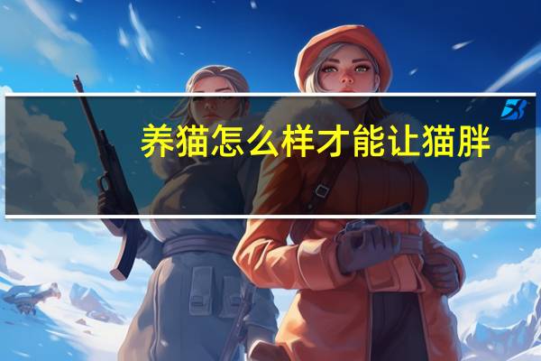养猫怎么样才能让猫胖