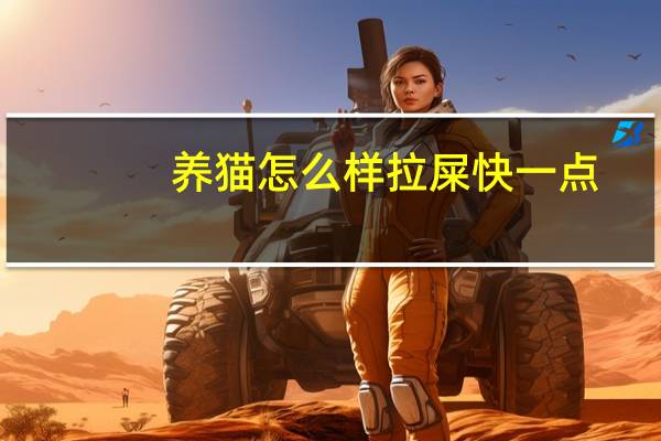 养猫怎么样拉屎快一点