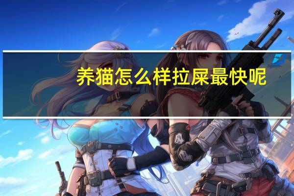 养猫怎么样拉屎最快呢