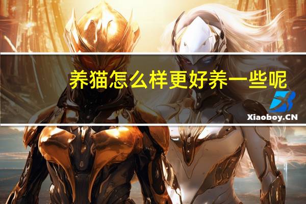 养猫怎么样更好养一些呢