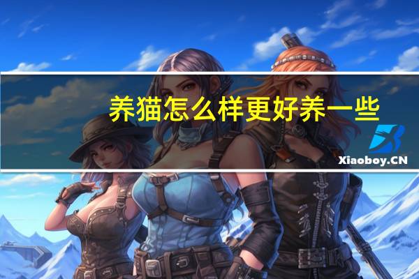 养猫怎么样更好养一些