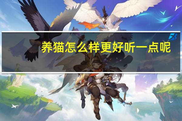 养猫怎么样更好听一点呢