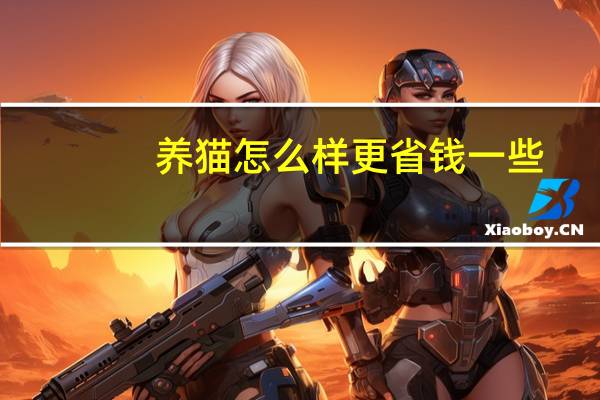 养猫怎么样更省钱一些