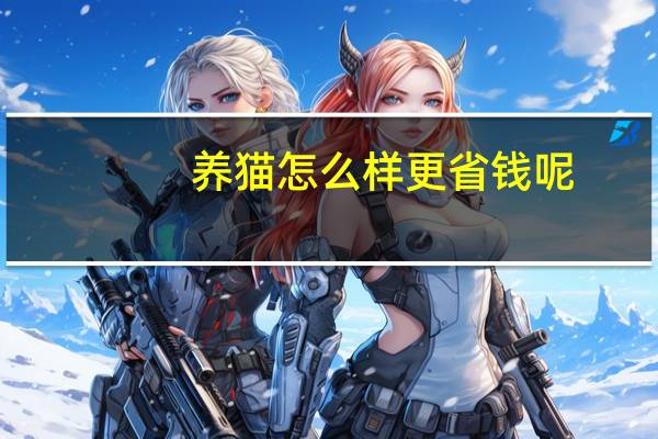 养猫怎么样更省钱呢