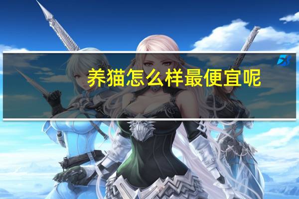 养猫怎么样最便宜呢