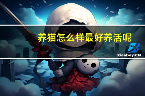 养猫怎么样最好养活呢