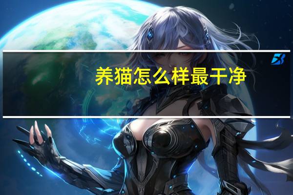 养猫怎么样最干净
