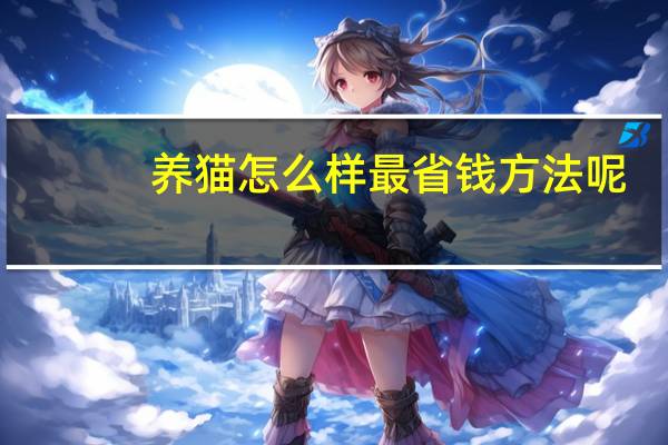 养猫怎么样最省钱方法呢