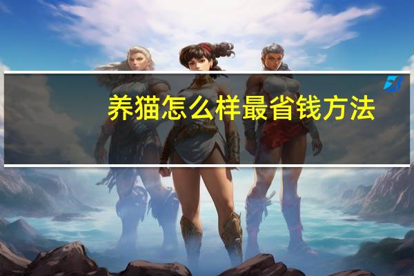 养猫怎么样最省钱方法