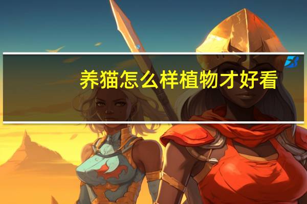 养猫怎么样植物才好看