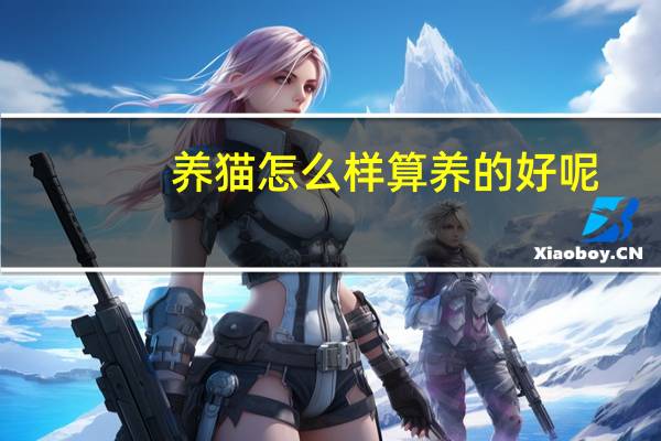 养猫怎么样算养的好呢