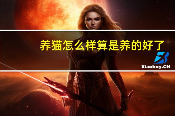养猫怎么样算是养的好了