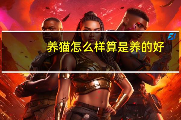 养猫怎么样算是养的好