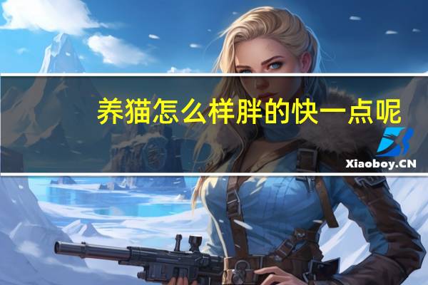 养猫怎么样胖的快一点呢