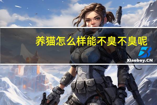 养猫怎么样能不臭不臭呢