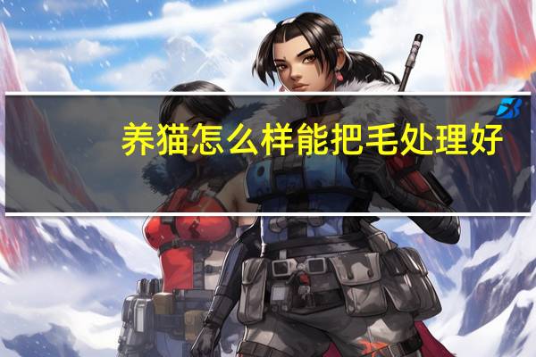养猫怎么样能把毛处理好