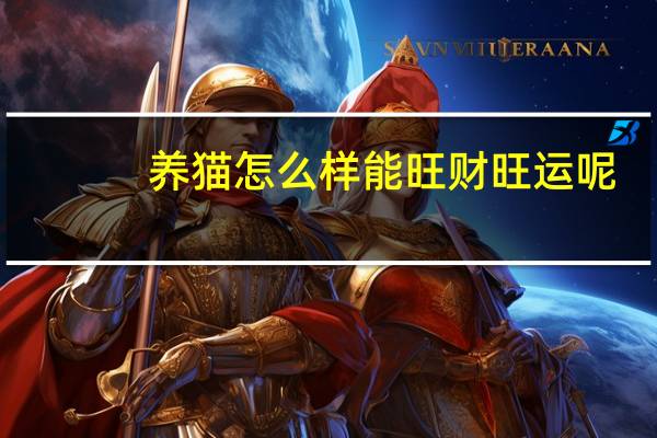养猫怎么样能旺财旺运呢
