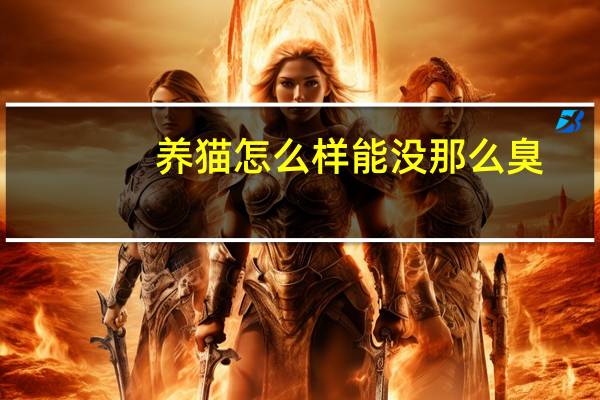养猫怎么样能没那么臭