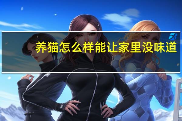 养猫怎么样能让家里没味道