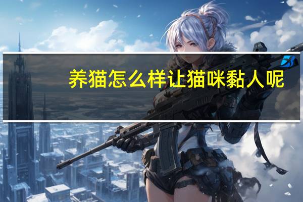 养猫怎么样让猫咪黏人呢