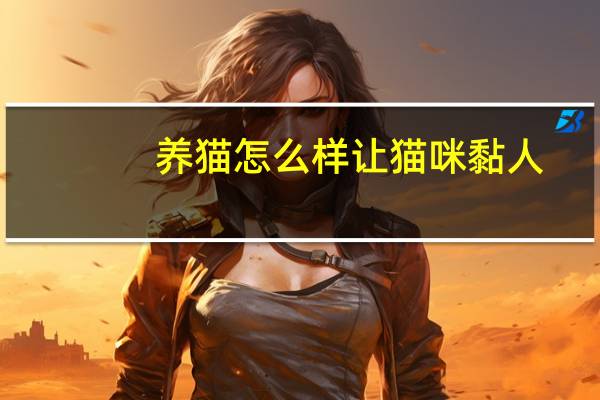 养猫怎么样让猫咪黏人