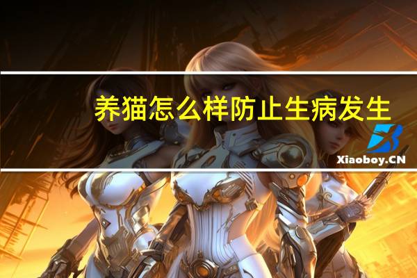 养猫怎么样防止生病发生