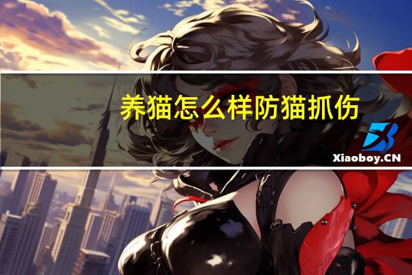 养猫怎么样防猫抓伤