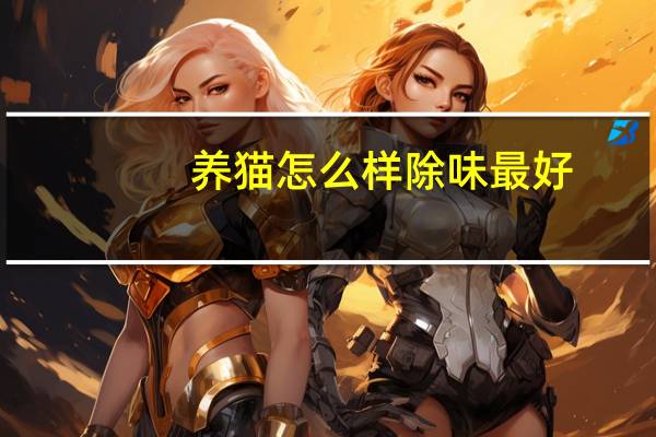 养猫怎么样除味最好
