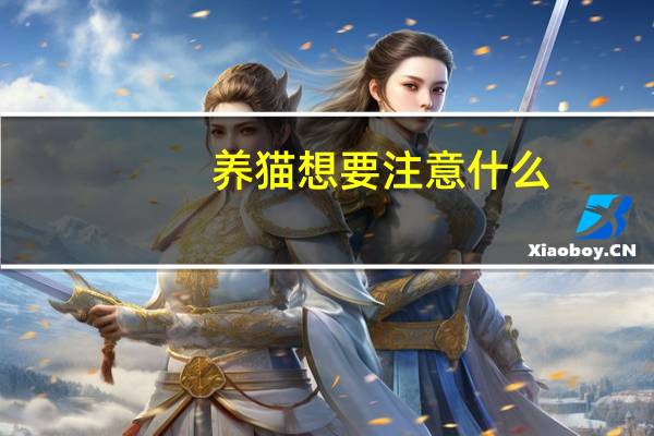 养猫想要注意什么
