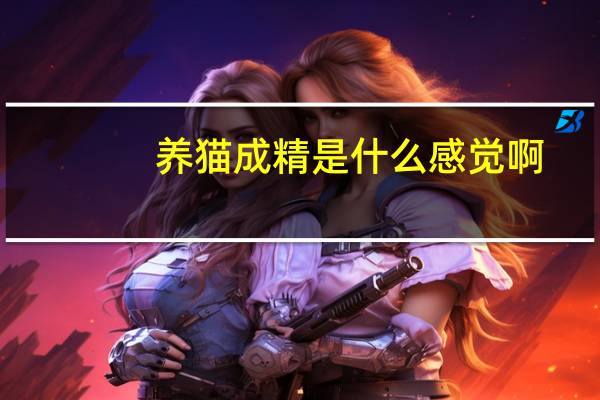 养猫成精是什么感觉啊