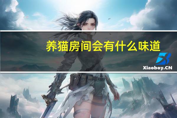 养猫房间会有什么味道